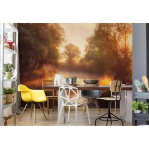 Fototapeta - When Nature Paints With Light Vliesová tapeta - 104x70 cm