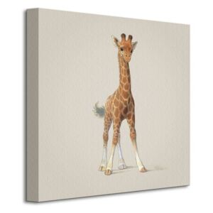 Obraz na plátne Malá žirafa Butler John 40x40cm WDC95278