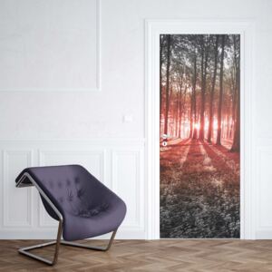 GLIX Fototapeta na dvere - Forest Landscape Red Light
