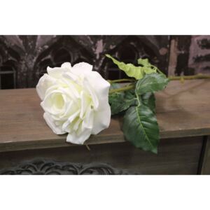 Biela ruža na zelenej stopke 13cm