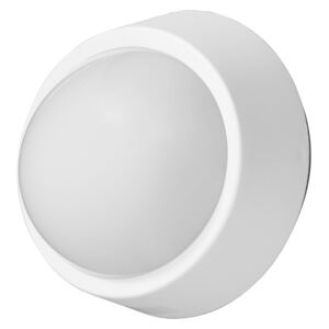 LIVARNO® LED nástenná lampa (ovál / biela ), ovál / biela (100300274)