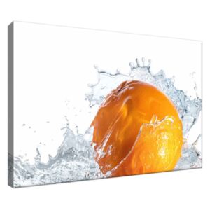 Obraz na plátne Pomarančový šplech 30x20cm 1142A_1T