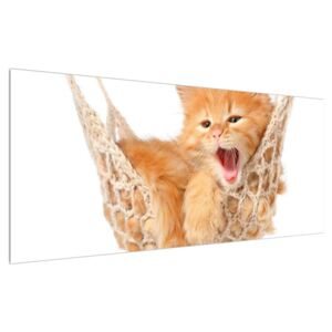 Obraz mačky v sieti (120x50 cm)