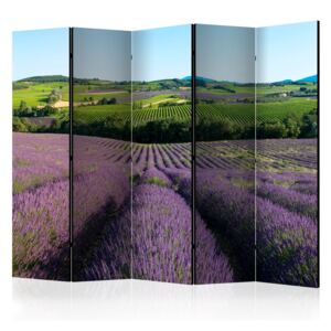 Paraván - Lavender fields [Room Dividers] 225x172