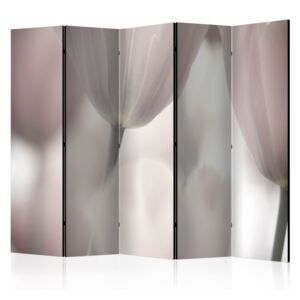Paraván - Tulips fine art - black and white [Room Dividers] 225x172