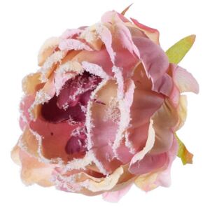 Hlava pivonka zasnežená ružová s klipom 10cm