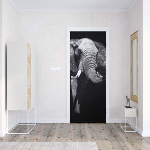 GLIX Fototapeta na dvere - Black And White Elephant