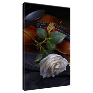 Obraz na plátne Husle a biela ruža 20x30cm 2349A_1S