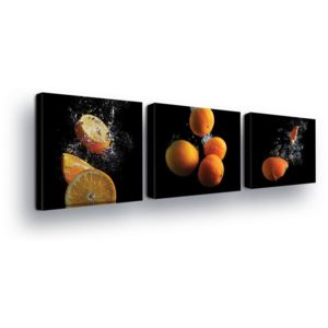 Obraz na plátne - Citruses II 3 x 25x25 cm