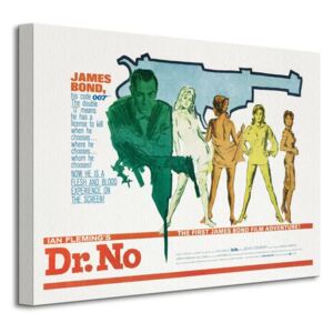 Obraz na plátne James Bond (Dr No - Gun) 40x30 WDC92008