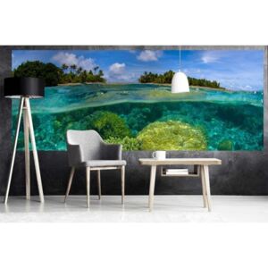 Panoramatická fototapeta - Koralový útes + zadarmo lepidlo - 375x150cm