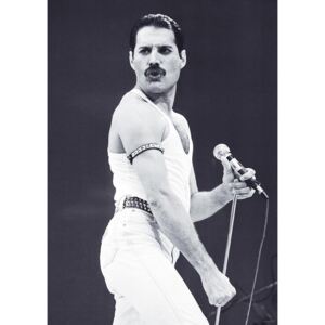 Plagát, Obraz - Freddie Mercury - Live Aid, (59,4 x 84,1 cm)