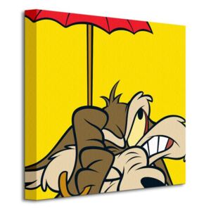Obraz na plátne Looney Tunes (Wile E Coyote) 40x40cm WDC95132