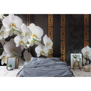 Fototapeta GLIX - Luxury Floral Orchids 6 + lepidlo ZADARMO Vliesová tapeta - 368x254 cm