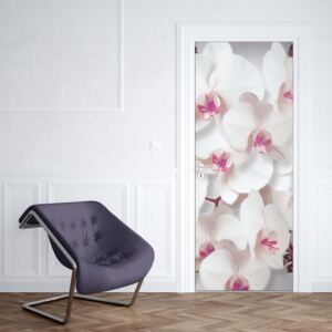 GLIX Fototapeta na dvere - Luxury Floral Design Orchids Pink