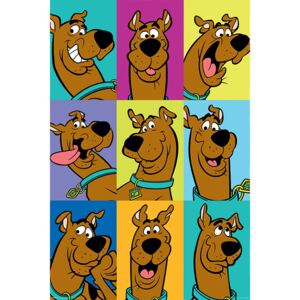 Plagát, Obraz - Scooby Doo - The Many Faces of Scooby Doo, (61 x 91,5 cm)