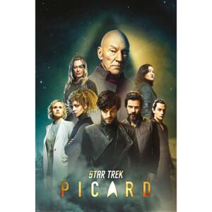 Plagát, Obraz - Star Trek: Picard - Reunion, (61 x 91,5 cm)