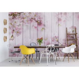 Fototapeta GLIX - Vintage Chic Cherry Blossom Flowers + lepidlo ZADARMO Vliesová tapeta - 254x184 cm