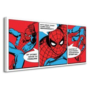 Obraz na plátne Marvel Spider-Man (Triptych) 100x50 WDC91001