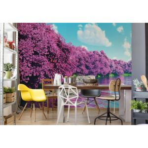 Fototapeta - Purple Blossom Trees Lake Calming Vliesová tapeta - 254x184 cm