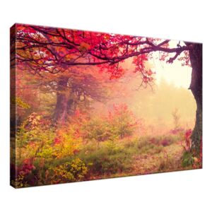 Obraz na plátne Jesenná príroda 30x20cm 2510A_1T