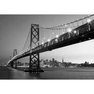 Vliesová fototapeta San Francisco Skyline