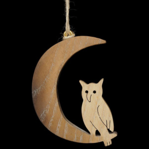 MOON WITH OWL