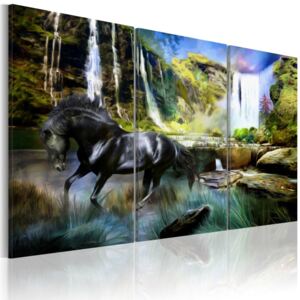 Obraz na plátne - Horse on the sky-blue waterfall background 60x40 cm