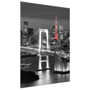 Roleta s potlačou Dúhový most Tokio 110x150cm FR2390A_1ME