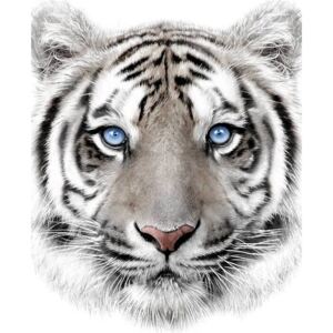 Jerry Fabrics Deka mikroflanel s digitálnou tlačou 120x150 - Biely tiger