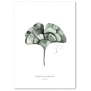 Plagát Leo La Douce Ginko Leaf, 21 x 29,7 cm