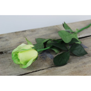 Zelená umelá ruža 50cm