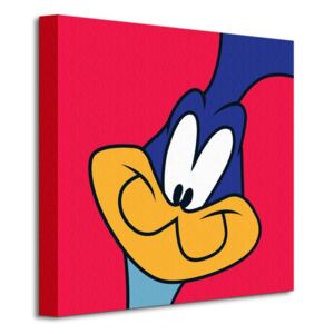 Obraz na plátne Looney Tunes (Road Runner) 40x40cm WDC95127