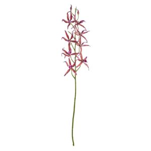 Butlers FLORISTA Orchidea Brasie 80 cm - ružová