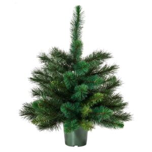 Butlers TREE OF THE MONTH Vianočný stromček 90 cm - zelená