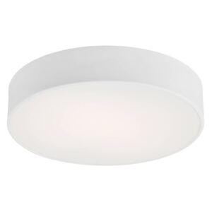 Stropné LED svietidlo Dayton biela Ø 25 cm