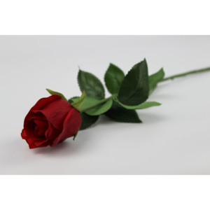 Červená ruža v puku na stonke s listami 56cm