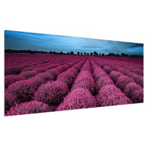 Obraz kvetinového poľa (120x50 cm)