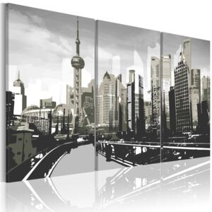Obraz na plátne - Grey Shanghai 60x40 cm