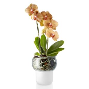 Sklenený samozavlažovací kvetináč na orchidey OE 13 cm, Eva Solo