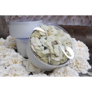 Biele okrúhle kvetinové flower boxy 3-set