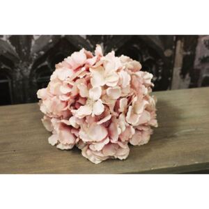 Ružová hortenzia hlava 20cm