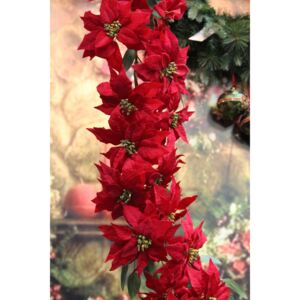 Červená girlanda z vianočnej ruže 160cm