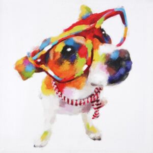 Falc Obraz na plátne - Jolly Dog 1, 50x50 cm