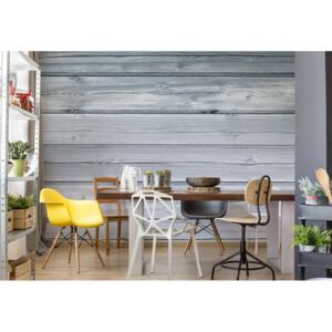 Fototapeta GLIX - Painted Wood Plank Blue + lepidlo ZADARMO Vliesová tapeta - 368x254 cm