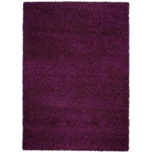 Kusový koberec Shaggy Faustino purpurový 120x170, Velikosti 120x170cm