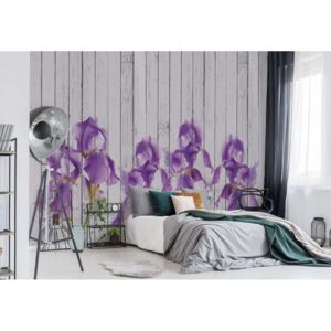 Fototapeta - Wood Planks And Purple Flowers Vintage Chic Vliesová tapeta - 250x104 cm