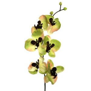 Umelá kvetina orchidea, zeleno-hnedá
