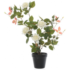 Umelý Ružový ker v kvetináči biela, 50 cm