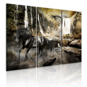 Obraz na plátne - Black horse and rocky waterfall 60x40 cm